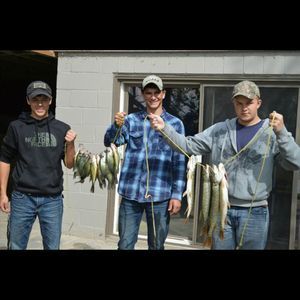 Meet your Posher, Mason